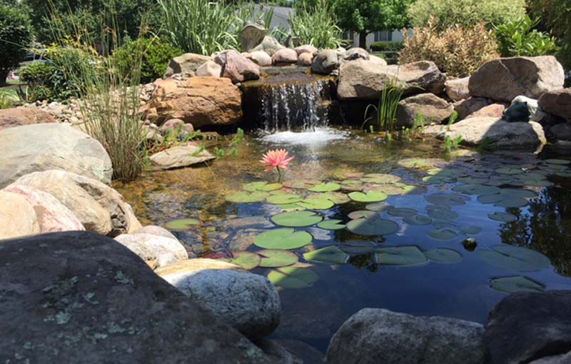 water features landscaping